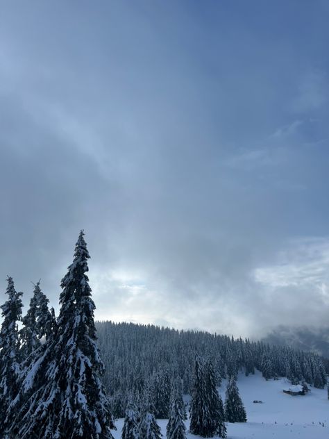 #bulgaria #pamporovo #skiing #snowboarding #snow #trees #winter #photography #places Pamporovo Bulgaria, Photography Places, Snow Trees, Winter Photography, Snowboarding, Bulgaria, Skiing, Trees, Photography