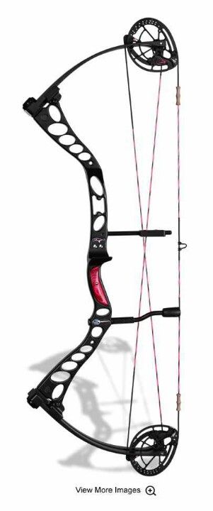 Strother Hope bow <3 Compact Bow, Bow Rack, Archery Tips, Archery Gear, Compound Bows, Bow Season, Big Deer, Hunting Supplies, Coyote Hunting