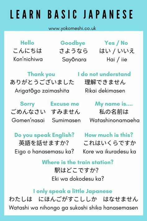 Basic Japanese Phrases, Learn Basic Japanese, How To Speak Japanese, Learn Japan, Speak Japanese, Bahasa China, Visiting Japan, Basic Japanese, Bahasa Jepun