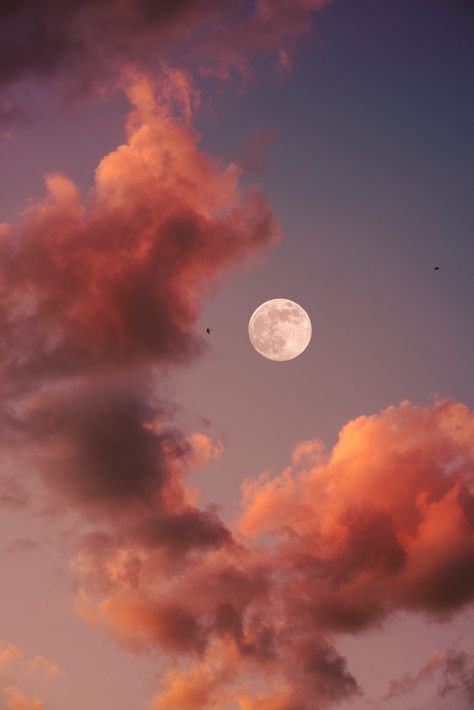 Full Moon Rituals, Moon Rituals, The Full Moon, Pink Clouds, Full Moon, The Moon, Moon, Pink