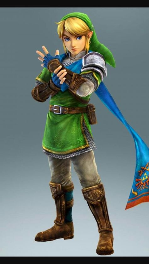 link figuer is a hero Hyrule Warriors Link, Zelda Hyrule Warriors, Warrior Images, Link Cosplay, Video Game Character, Skins Minecraft, Link Art, Hyrule Warriors, Link Zelda