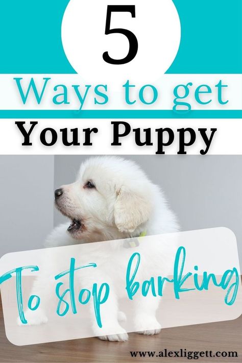 Puppy barking can frustrate even the most patient owners quickly. This article is all about how to stop puppy barking so that you can sleep through the night. puppy barking at night | puppy barking at people | puppy barking for attention Puppy Barking Tips, How To Stop Puppy From Barking, Stop Puppy Barking, Bringing Home Puppy, Puppy Schedule, Puppy Announcement, Puppy Training Schedule, New Puppy Checklist, Puppy Checklist