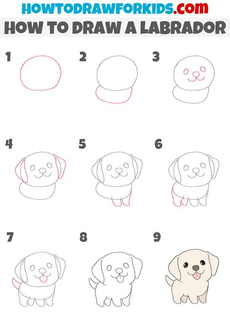 How To Draw Labrador, Draw Dog Step By Step, Lab Drawing Easy, Easy Labrador Drawing, Draw Labrador, Labrador Sketch Easy, How To Draw A Labrador Step By Step, Dog Drawing Labrador, Labrador Drawing Simple