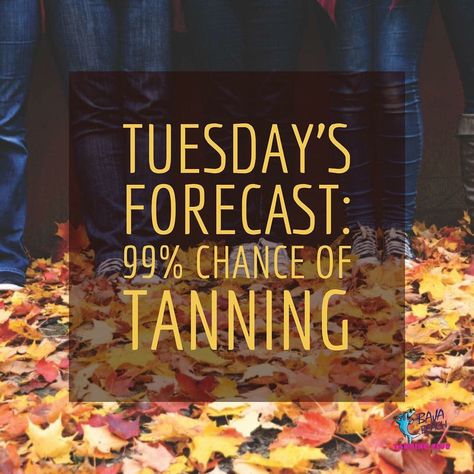 Tanning Specials, Tan Quotes, Spray Tan Marketing, Spray Tanning Quotes, Tan Salon, Sunbed Tanning, Pumpkin Spray, Spray Tan Tips, Tanning Studio