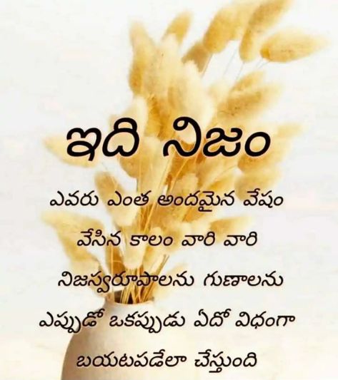 Trivikram Srinivas Quotes, Fake Family Quotes In Telugu, Telugu Quotes Life, Telugu Quotes About Fake People, Family Quotes In Telugu, Telugu Inspirational Quotes About Life, People Quotes Truths, Love Quotes In Telugu, Andhra Recipes