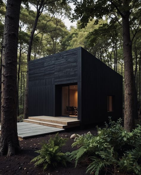 Yakisugi Houses, Black Cabins, Shou Sugi Ban House, Woods Cabin, Black Architecture, Black Cabin, Prefab Cabins, Best Tiny House, Modern Barn House