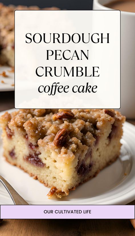 This Pecan Crumble Topping Sourdough Coffee Cake is a moist and delicious way to use up some of that sourdough starter!   Sourdough pecan crumble coffee cake, easy pecan coffee cake, sourdough cake recipe, pecan crumble dessert, homemade coffee cake, sourdough breakfast cake, pecan crumble cake, coffee cake with pecan topping, simple sourdough coffee cake, pecan dessert recipes Sourdough Gingerbread Cake, Sourdough Cheesecake, Sourdough Cake Recipes, Sourdough Discard Coffee Cake, Sourdough Dessert Recipes, Sourdough Coffee Cake Recipe, Sourdough Coffee Cake, Sourdough Christmas, Fall Sourdough