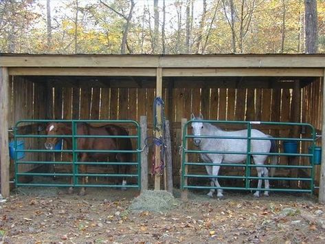 Miniature Horse Barn, Horse Shelters, Small Horse Barns, Horse Shed, Diy Horse Barn, Barn Stalls, Horse Shelter, Horse Barn Plans, Diy Horse