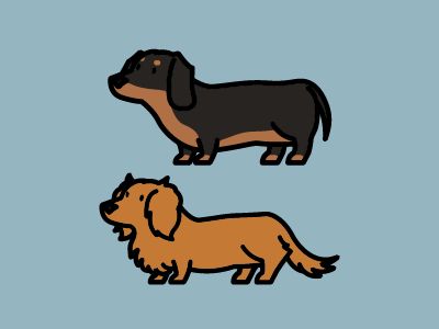 Dachshund Puppy Drawing, Wiener Dog Doodle, Cartoon Weiner Dog, Dachshund Side Eye, Weiner Dog Doodle, Sausage Dog Doodle, Cute Dachshund Drawings, Daschund Drawing, Wiener Dog Drawing