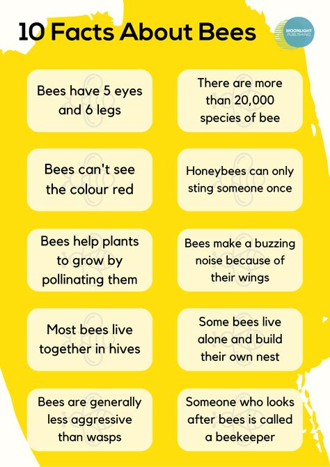 10 Fascinating Bee Facts for Kids | Free PDF - Moonlight Publishing Bee Facts For Preschoolers, Bee Activities Kindergarten, Bee Learning Activities For Kids, Bee Learning Activities, Bee Games For Kids, Bee Activities For Kids, Bee Inquiry, Bee Facts For Kids, Bee Education