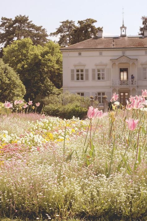 Aesthetic Switzerland, Salon Simple, Formal Garden Design, Trachelospermum Jasminoides, Craft Table Diy, Basel Switzerland, Alpine Plants, Ethereal Aesthetic, Formal Garden