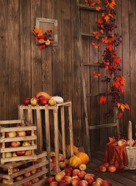 Spectacular Fall Decorations and Yard Installations Created with Pumpkins and Autumn Leaves Fall Photo Booth, Fall Backdrops, Outside Fall Decor, Halloween Decor Diy, Decoration Vitrine, Leaf Photography, Decor Studio, Pumpkin Leaves, Muslin Backdrops