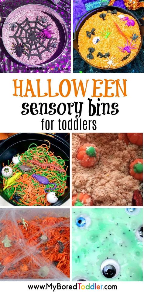 Halloween sensory bins for toddlers pinterest- a collection of fun sensory bins that are perfect for Halloween for 1 year olds, 2 year olds, 3 year olds and even preschoolers. Lots of sensory play fun! #myboredtoddler #halloween #sensorybin #sensorybins #sensoryplay #specialneeds #spd #halloweenactivities #toddleractivity #toddleractivity #preschoolactivity Sensory Bins For Toddlers, Halloween Sensory Bin, Toddlers Crafts, Messy Table, Halloween Activities For Toddlers, Fall Sensory Bin, Crafts 2024, Toddler Sensory Bins, Mountain Bluebird