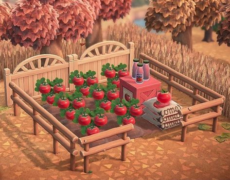 Unusable Space Ideas, Fall Halloween Animal Crossing, Acnh Farm Design, Acnh Farm Ideas, Acnh Farm, Cottage Core Animal Crossing, Tomato Design, Tomato Farm, Cottagecore Animal Crossing