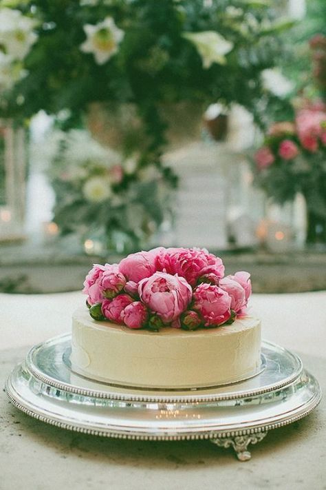 a white chocolate covered wedding cheesecake topped with fresh pink peonies Cakes Pink, Wedding Cheesecake, Dessert Oreo, Single Tier Cake, Single Layer Cakes, Wedding Style Inspiration, Gateaux Cake, Wedding Dessert, Cupcake Cake