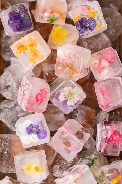 These easy Edible Flower Ice Cubes are perfect for spring cocktails! Floral Ice Cubes, Flower Ice Cubes, Floral Ice, Pastel Cupcakes, Flower Ice, Smoothie Bar, Ice Ice Baby, Easter Brunch, Edible Flowers