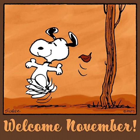 Welcome November Snoopy Hello November, Monthly Greetings, Autumn Widgets, November Pictures, Snoopy Classroom, November Images, Neuer Monat, Welcome November, Woodstock Snoopy