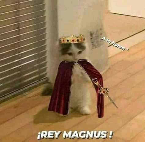 Magnus Lacrontte, Reading Lists, Wattpad, Reading, Memes