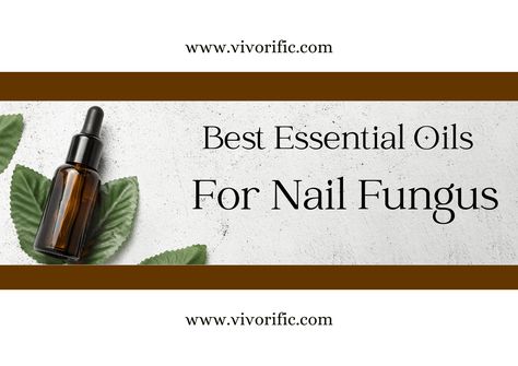 Best Essential Oils For Nail Fungus Frankensence Oil, Fingernail Fungus, Working Mom Tips, Cinnamon Oil, Oregano Oil, Cinnamon Essential Oil, Clove Oil, Aromatic Oils, Nail Oil