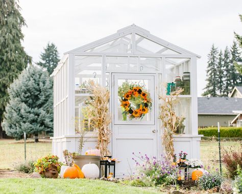 prepare your garden for fall by cleaning your greenhouse Fall Greenhouse, Winter Vegetables Gardening, Backyard Greenhouse, Barns Sheds, Winter Vegetables, Fall Garden, Garden Greenhouse, Front Porches, Summer Vegetable