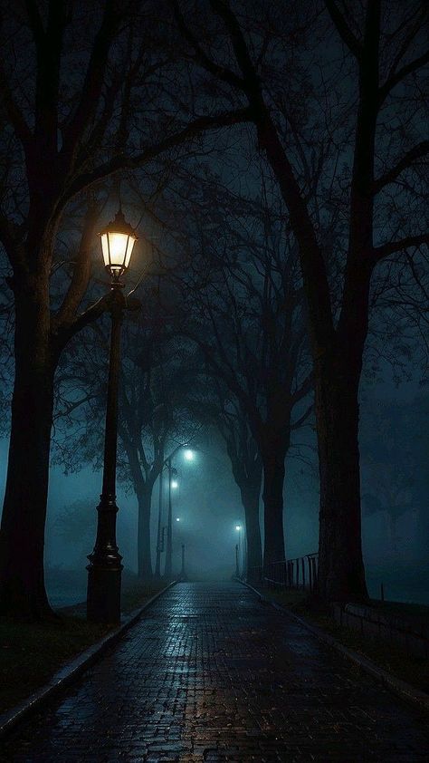 Dark Town Aesthetic, Dark Foggy Aesthetic, Foggy Night Aesthetic, Ruelle Sombre, Dark Nature Photography, Creepy Street, Foggy Wallpaper, Horror Landscape, Foggy Street