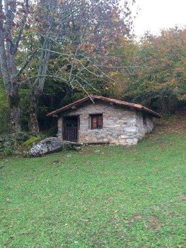 French Country Cabin, Farm Houseplans, Stone Hut, World Pic, Stone Veneer Exterior, Log Cabin Style, Yurt Home, Stone Cabin, Brick Works