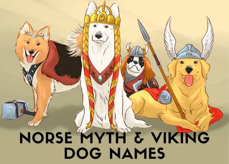 Here are over 50 dog names based on Norse mythology or inspired by the Viking era. Learn more about the stories behind these names and why they might be right for your dog. You can even learn how to give your dog his or her own Viking title or nickname. Viking Dog Names, Viking Female, Norse Goddess Of Love, Viking Names, Names And Meanings, Female Dog Names, History Queen, Norse Goddess, Norse Myth