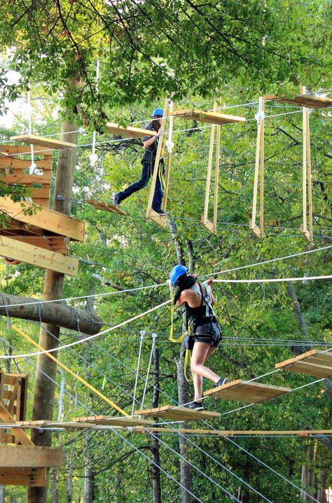 Break free of the concrete jungle and find these outdoor adventures and more in New York City's beachfront backyard. Here are 5 things to do on Long Island. Photo credit: My Photo Journeys Zip Line Backyard, Ropes Course, Forest Adventure, Coban, Backyard Inspiration, Adventure Activities, New Forest, Adventure Park, Concrete Jungle