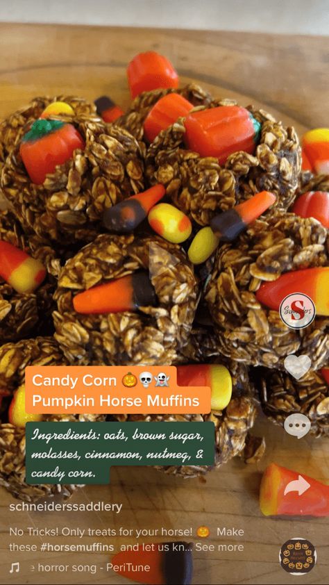 Pumpkin Horse Treats, Horse Treats Recipe, Horse Cookies Recipes, October Treats, Homemade Horse Treats, Animal Treats, Horse Cookies, Pumpkin Candy Corn, Goat Barn