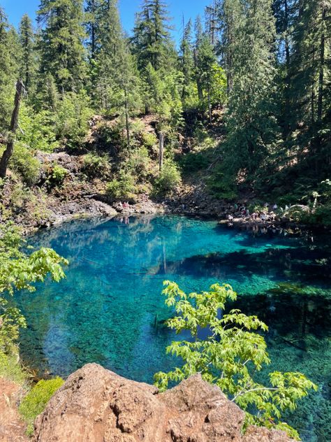 Catherine Cowles Aesthetic, Blue Pool Oregon, Aesthetic Roadtrip, Catherine Cowles, Pnw Hiking, Blue Pool, Oregon, Hiking, Trees