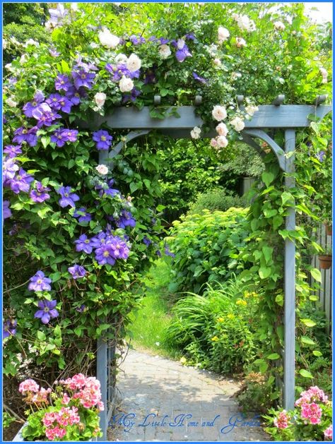 Clematis Arbor, Garden Archway, Cottage Garden Design, Garden Arbor, Garden Arches, English Cottage Garden, Garden Aesthetic, Garden Path, Garden Pathway