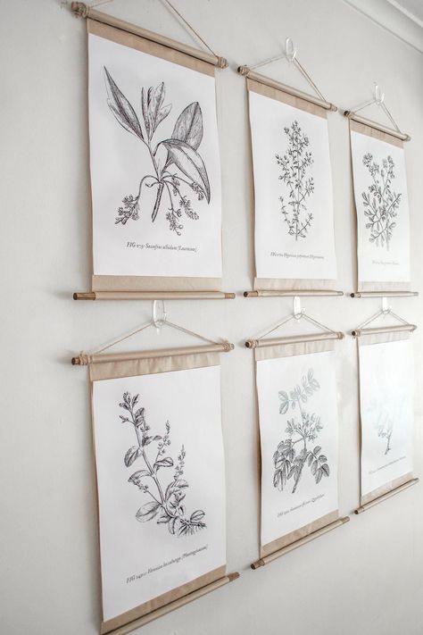 Wall Decor Inspiration, Botanical Gallery Wall, Framed Botanical Prints, Poster Frames, Diy Wand, Simple Poster, Vintage Flower Prints, Illustration Botanique, Diy Upcycling