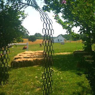 Horse shoe arbor Trash Design, Outdoor Chapel, Horseshoe Projects, Wedding Arbor, Barb Wire, Wedding Arches, Horseshoe Crafts, Horse Shoes, Horseshoe Art