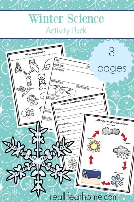 Free printable eight page winter worksheets and printables packet which includes many items needed for some winter science activities: printables about animal hibernation and migration, animal mini report recording sheet, winter nature report, winter vocabulary definitions page, snowflake lifecycle page, and more | Real Life at Home #WinterScience #WinterWorksheets #ElementaryScience December Stem, Draw Animals For Kids, Outdoor Science, Winter Science Activities, Winter Worksheets, Science Printables, Weather Vocabulary, Winter Science, Nature Studies