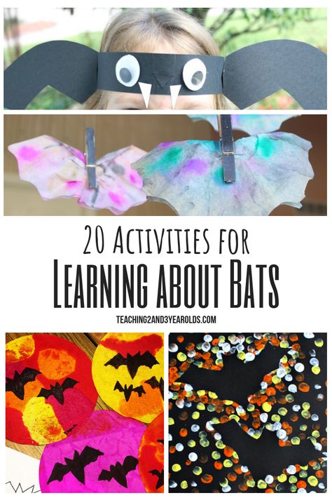 Looking for preschool bat activities? Here are 20 fun ideas that build a variety of skills. Free bat printable included! #bats #fall #art #printable #3yearolds #4yearolds #preschool #teaching2and3yearolds Bat Activities, Bat Crafts, Bats Activities, Bat Printable, Bat Coloring Pages, Bat Craft, Fall Preschool Activities, Time Planner, Halloween Preschool