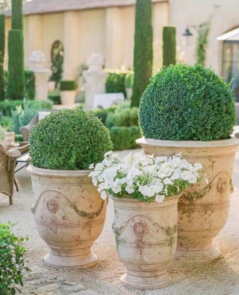 Pots of our dreams... Available in-store and online. 💚 Flower Pots Wedding, Gold Flower Pot, Gold Flower, Gold Flowers, Potted Plants, Flower Pots, In Store, France, Stone