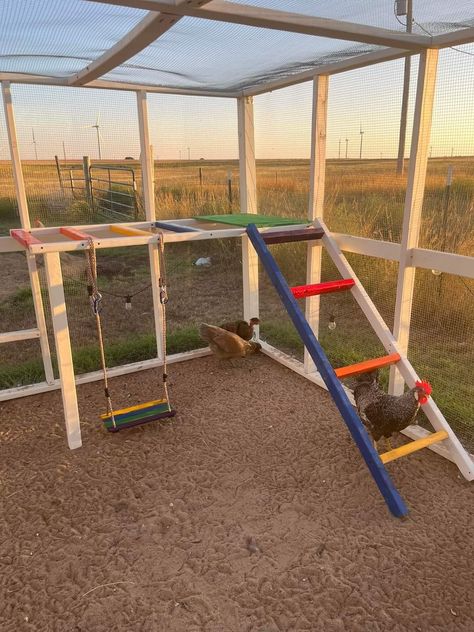 Rainbow Chicken Coop, Chicken Run Enrichment, Chicken Playground Ideas, Chicken Yard Ideas, Chicken Toys For Coop, Chicken Playground, Chicken Coupe, Rainbow Chicken, Chicken Feeder Diy