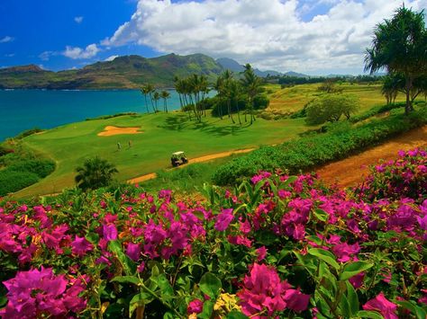 Embedded image Golf Course Photography, Top Golf Courses, Golf Photography, Golf Vacations, Best Golf Courses, Top Golf, Breathtaking Places, Kauai Hawaii, Ulsan