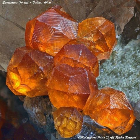 Spessartine Garnet, Minerals Crystals Rocks, Fujian China, Geology Rocks, Rock Minerals, Crystal Formations, Pretty Rocks, Beautiful Rocks, Mineral Stone