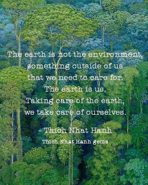 Earth Day Quotes, Thich Nhat Hanh Quotes, Earth Quotes, Buddha Quotes Life, Buddhist Quotes, Original Quotes, Thich Nhat Hanh, Body Energy, Happy Earth