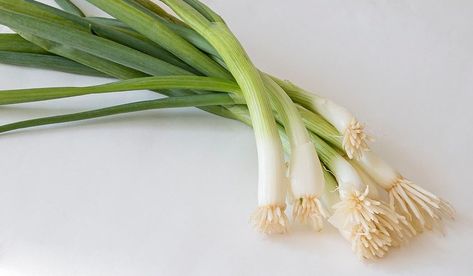 How to Grow Scallions, Green Onions | Gardener's Supply Regrow Celery, Regrow Green Onions, Types Of Onions, Onion Bulbs, Planting Onions, Replant, Small Jars, New Green, Fresh Green