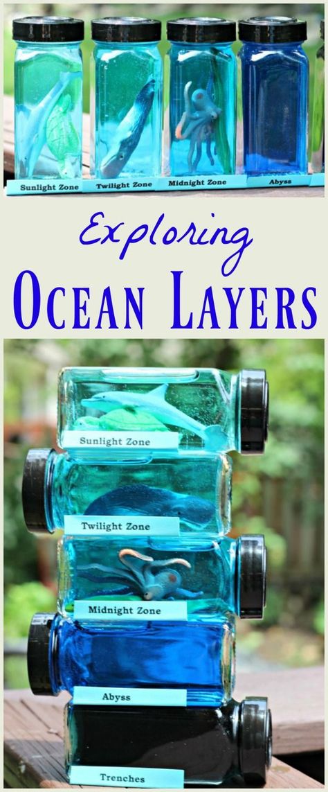 Ocean Crafts and Treats - The Idea Room                                                                                                                                                                                 More Ocean Layers, Vetenskapliga Experiment, Layers Of The Ocean, Ocean Zones, Ocean Science, Ocean Activities, Ocean Kids, Science Activity, Science Projects For Kids