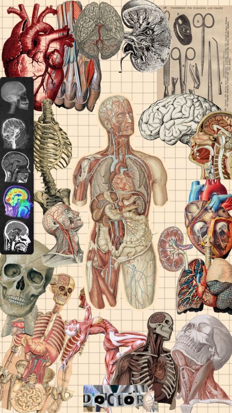 #miprimershuffle #myfirstshuffle Medical Posters Aesthetic, Anatomy And Physiology Aesthetic Cover, Medicine Wallpaper Iphone, Biology Collage, Medicine Drawing, Manifesting Career, Medical Artwork, Biology Poster, Biology Projects