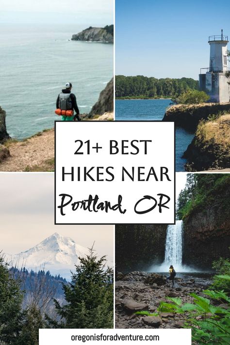 4 photo grid of hikes in portland Pnw Hikes, Portland Hikes, Oregon Hiking Trails, Oregon Coast Hikes, Silver Falls State Park, Oregon Hikes, Explore Oregon, California Hikes, Oregon Road Trip