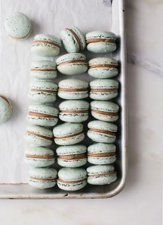 Mint Chocolate Chip Macarons Slow Cooker Desserts, Mint Chocolate Chip, Chocolate Chip Ice Cream, Macaron Recipe, Mint Chocolate Chips, Vegetarian Chocolate, Mint Chocolate, Pavlova, Macaroons