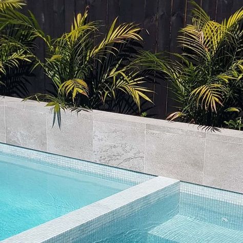 Topia Garden Design on Instagram: "Another recently completed pool and spa project.  #pooldesign #poolside  #topiagardendesign #contemporarygarden  #lushgarden" Pool Next To Wall, Contemporary Pool, Pool Tiles, Small Pools, Pools Backyard, Pool And Spa, Contemporary Garden, Swimming Pools Backyard, Pool Tile