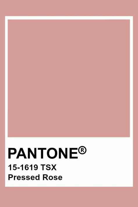 Interior Design Bedroom Master, Pantone Color Chart, Pantone Swatches, Pantone Palette, Color Pantone, Pantone Colour Palettes, Color Inspo, Colour Board, Colour Schemes