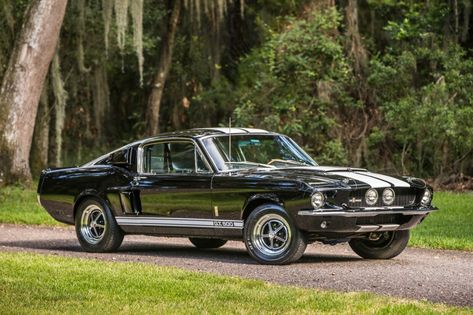 For Sale: 1967 Ford Mustang Shelby GT500 Fastback (black with white stripes, 428ci "Police Interceptor" V8, 3-speed auto, 41K miles) 1967 Shelby Gt500, Shelby Mustang Gt500, Ford Mustang 1967, 1965 Shelby Cobra, 1967 Mustang, Mustang Gt500, Shelby Mustang, Datsun 510, Ford Mustang Shelby Gt500