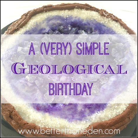 A simple geology themed birthday party for our newest eight year old! Geology Cake, Mining Birthday Party, Rock Birthday, Girly Party Ideas, Scientist Party, Birthday Gemstones, Geode Cake, Graduation Party Ideas, 9th Birthday Parties