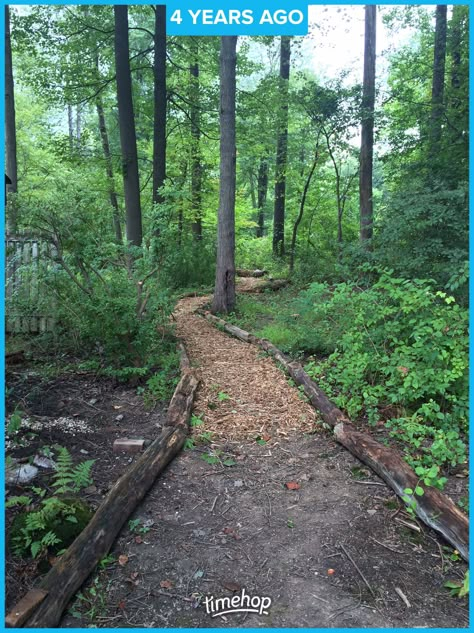 Backyard Trail Ideas, Wooded Yard Landscaping Ideas, Forest Yard Landscape, Woodchip Pathways, Backyard Woods Landscaping, Woods Pathway, Woodland Walkway, Woods Hangout Spot, Wood Chips Garden